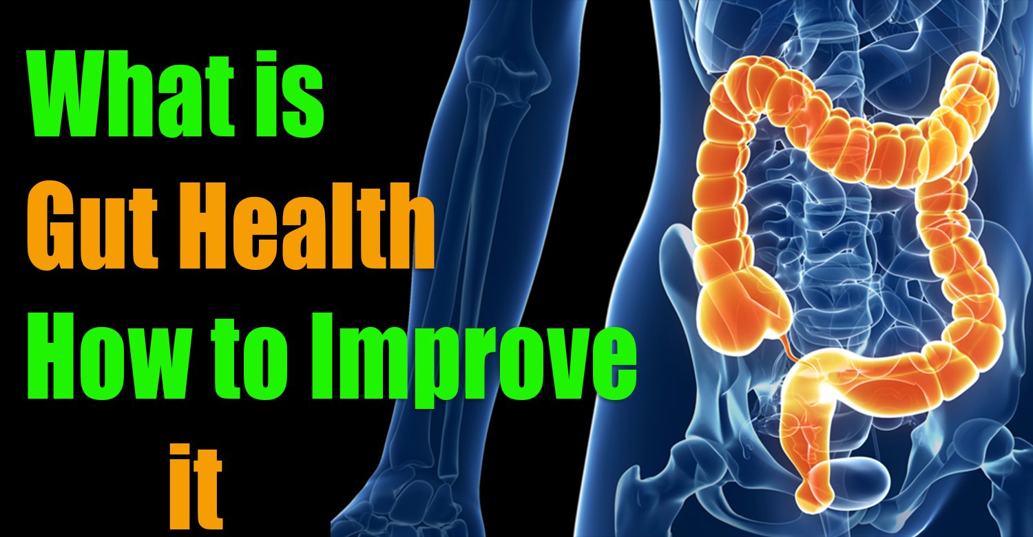 A Comprehensive Guide to Optimal Gut Health - Life Cease