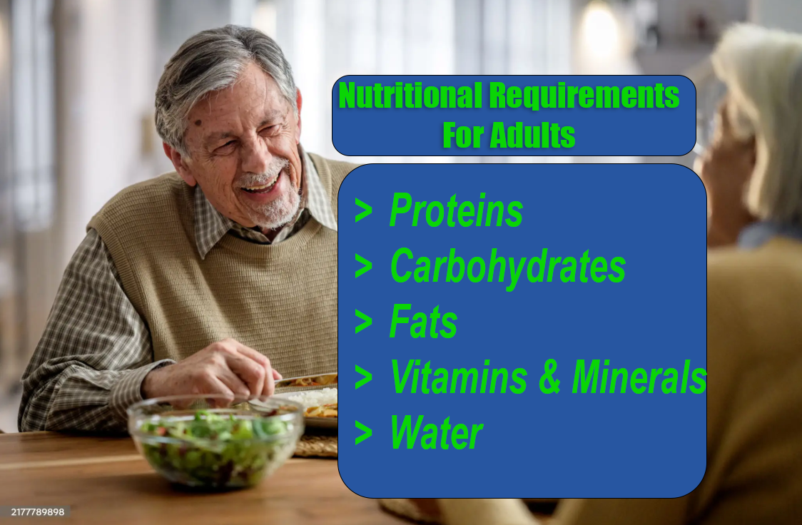 Nutritional Requirements for Adults