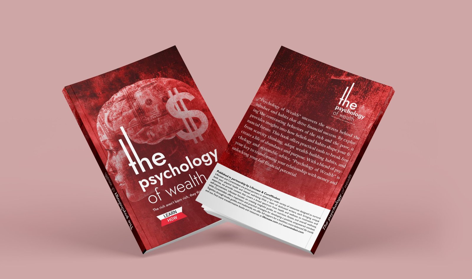 The Psychology of Wealth