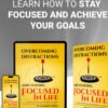 Overcoming Obstacles and Destruction