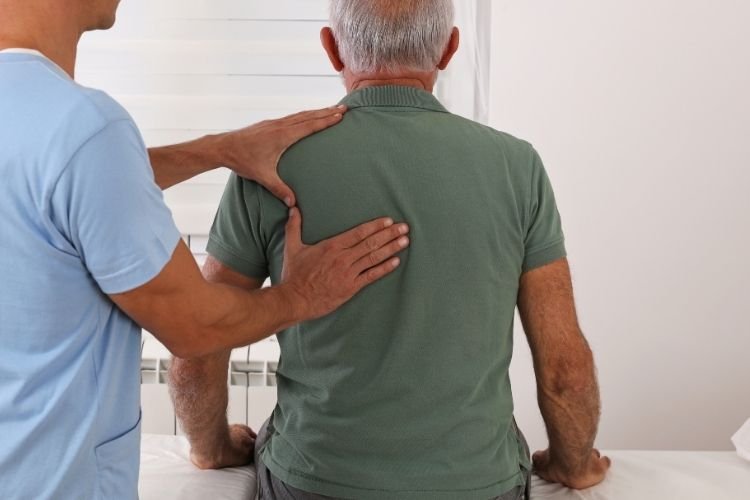 pain relief Herbs for Pain Relief